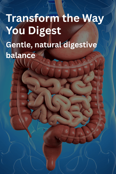 Get Digestive Relief